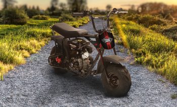 Burro Max 80 CC Mini Bike