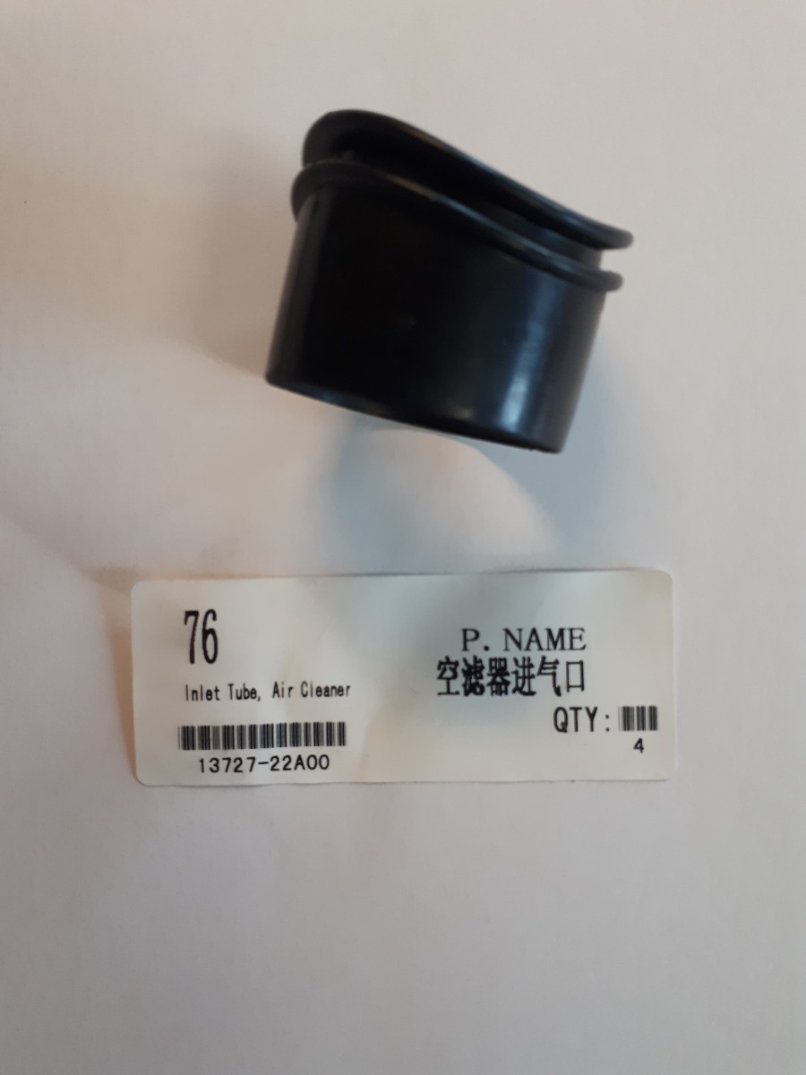 Air filter inlet