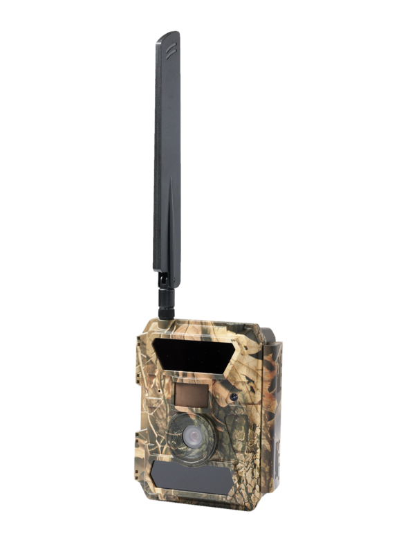 Premium-Pro-590x800