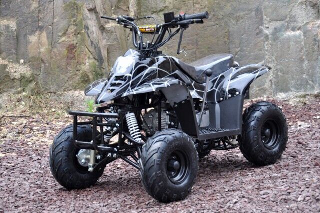 atv_110cc_sort